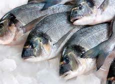 Poissons