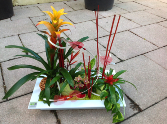Jardin zen