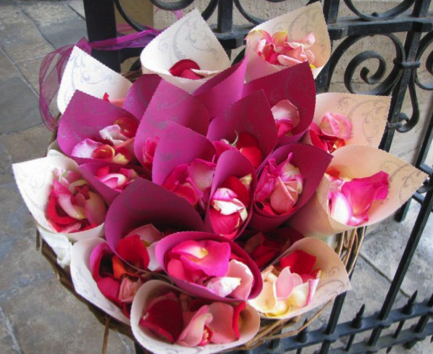 Cornet de roses